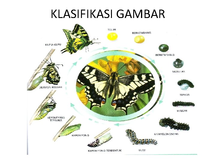 KLASIFIKASI GAMBAR 