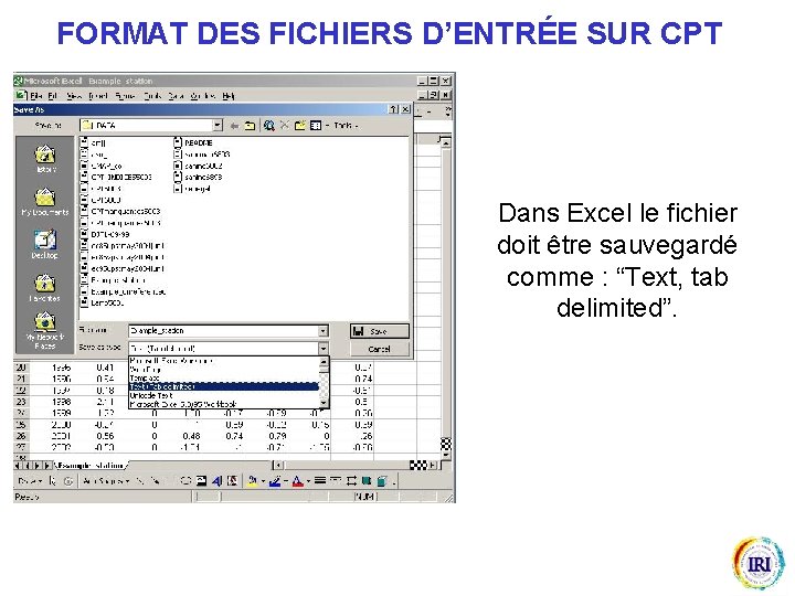 FORMAT DES FICHIERS D’ENTRÉE SUR CPT Dans Excel le fichier doit être sauvegardé comme