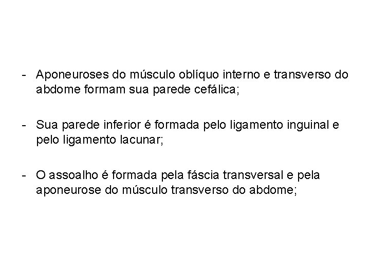 - Aponeuroses do músculo oblíquo interno e transverso do abdome formam sua parede cefálica;