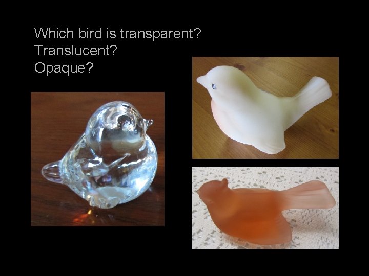 Which bird is transparent? Translucent? Opaque? 