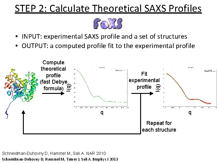 STEP 2: Calculate Theoretical SAXS Profiles • INPUT: experimental SAXS profile and a set