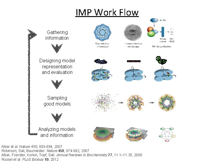 IMP Work Flow Gathering information Designing model representation and evaluation Sampling good models Analyzing