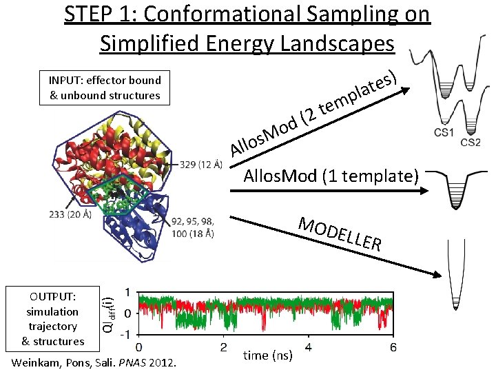STEP 1: Conformational Sampling on Simplified Energy Landscapes ) s e t la INPUT: