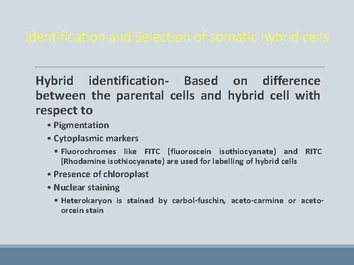 Identification and Selection of somatic hybrid cells Hybrid identification- Based on difference between the