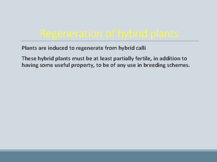 Regeneration of hybrid plants Plants are induced to regenerate from hybrid calli These hybrid