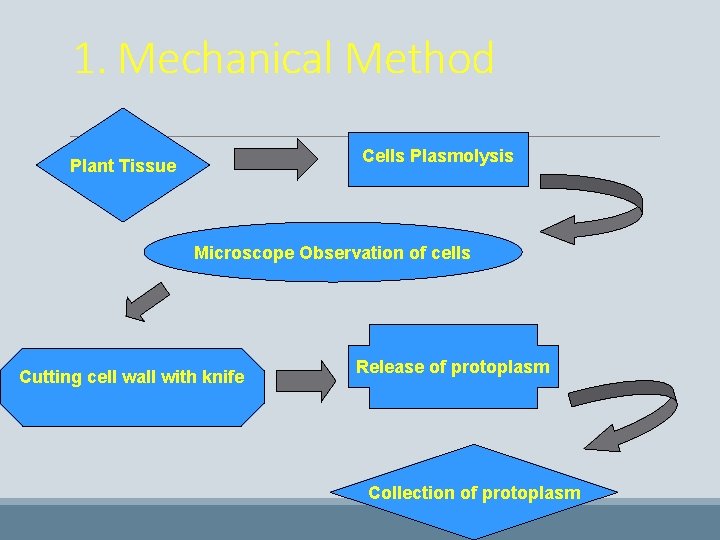 1. Mechanical Method Cells Plasmolysis Plant Tissue Microscope Observation of cells Cutting cell wall