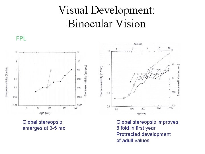 Visual Development: Binocular Vision FPL Global stereopsis emerges at 3 -5 mo Global stereopsis