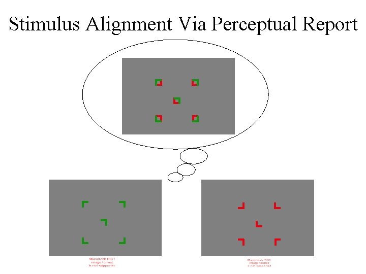 Stimulus Alignment Via Perceptual Report 