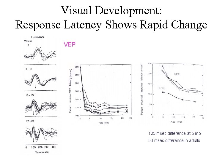Visual Development: Response Latency Shows Rapid Change VEP 125 msec difference at 5 mo