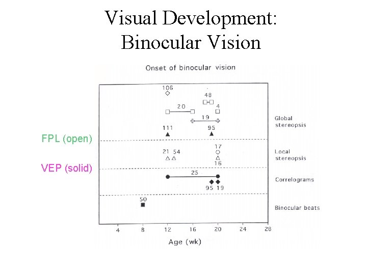 Visual Development: Binocular Vision FPL (open) VEP (solid) 