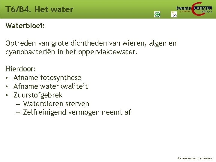 T 6/B 4. Het water Waterbloei: Optreden van grote dichtheden van wieren, algen en