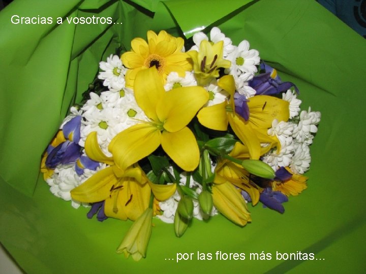 Gracias a vosotros… …por las flores más bonitas… 