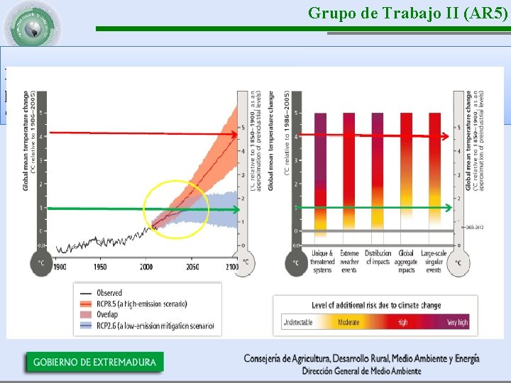 Grupo de Trabajo II (AR 5) El Grupo de Trabajo II actualizará el famoso