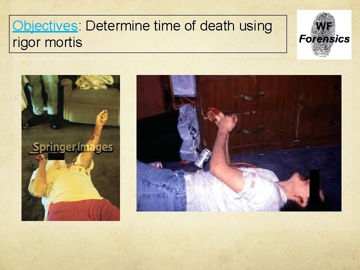 Objectives: Determine time of death using rigor mortis 