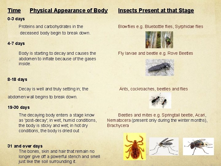 Time Physical Appearance of Body Insects Present at that Stage 0 -3 days Proteins