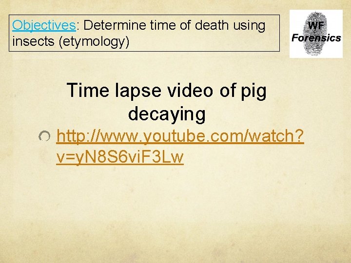 Objectives: Determine time of death using insects (etymology) Time lapse video of pig decaying