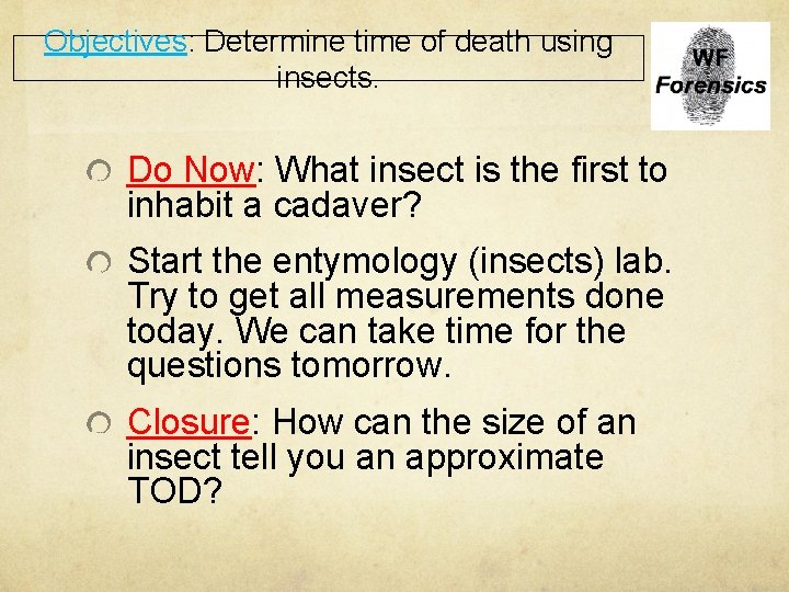 Objectives: Determine time of death using insects. Do Now: What insect is the first