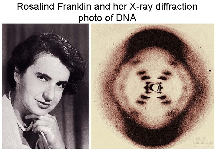 Rosalind Franklin and her X-ray diffraction photo of DNA 