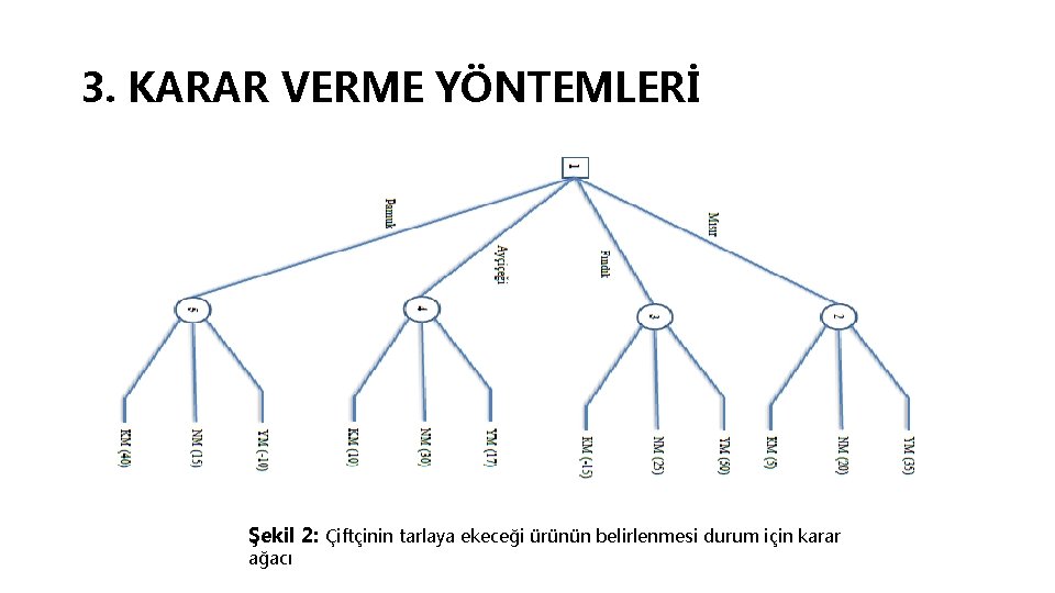 3. KARAR VERME YÖNTEMLERİ Şekil 2: Çiftçinin tarlaya ekeceği ürünün belirlenmesi durum için karar