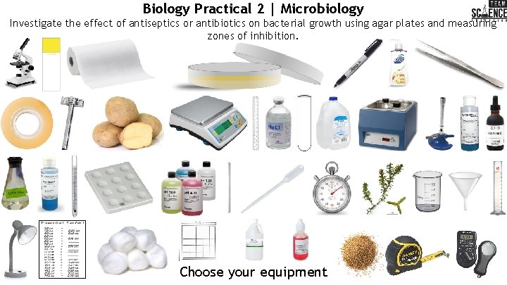 Biology Practical 2 | Microbiology Investigate the effect of antiseptics or antibiotics on bacterial