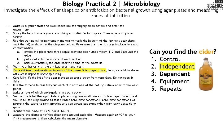 Biology Practical 2 | Microbiology Investigate the effect of antiseptics or antibiotics on bacterial