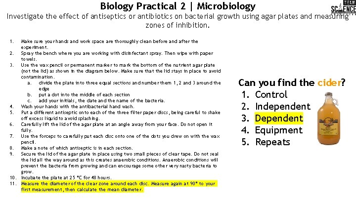 Biology Practical 2 | Microbiology Investigate the effect of antiseptics or antibiotics on bacterial