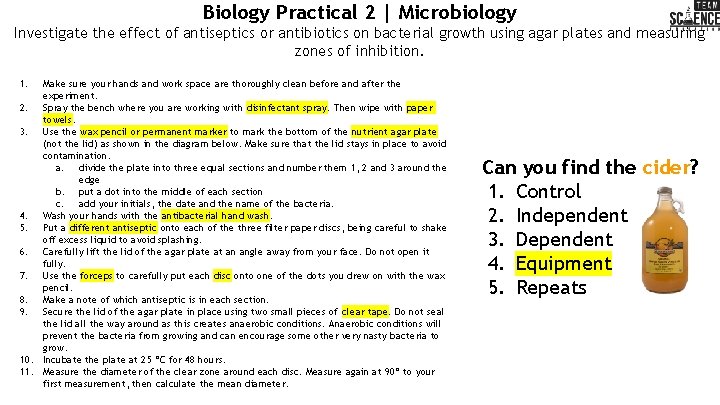 Biology Practical 2 | Microbiology Investigate the effect of antiseptics or antibiotics on bacterial