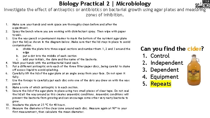 Biology Practical 2 | Microbiology Investigate the effect of antiseptics or antibiotics on bacterial