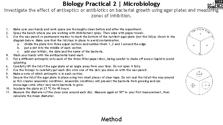 Biology Practical 2 | Microbiology Investigate the effect of antiseptics or antibiotics on bacterial
