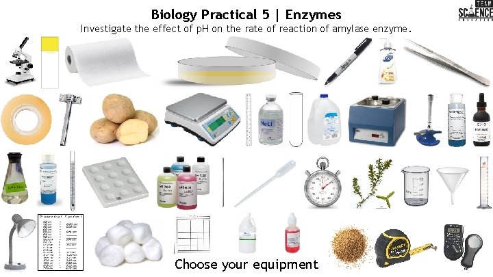 Biology Practical 5 | Enzymes Investigate the effect of p. H on the rate