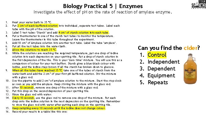 Biology Practical 5 | Enzymes Investigate the effect of p. H on the rate