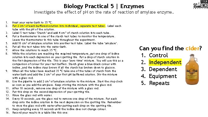 Biology Practical 5 | Enzymes Investigate the effect of p. H on the rate