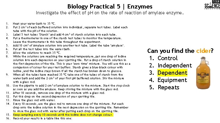 Biology Practical 5 | Enzymes Investigate the effect of p. H on the rate