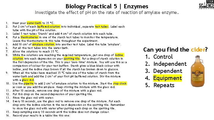 Biology Practical 5 | Enzymes Investigate the effect of p. H on the rate