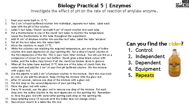 Biology Practical 5 | Enzymes Investigate the effect of p. H on the rate