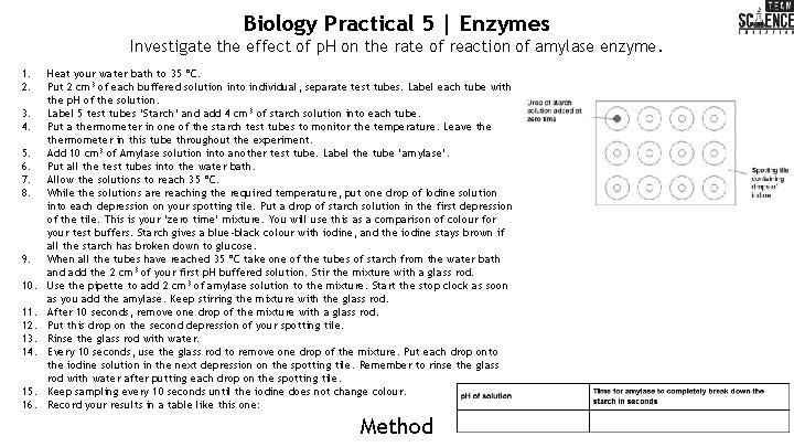 Biology Practical 5 | Enzymes Investigate the effect of p. H on the rate