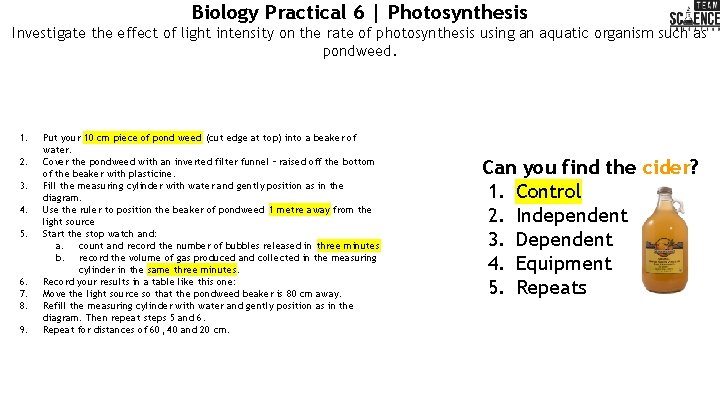 Biology Practical 6 | Photosynthesis Investigate the effect of light intensity on the rate