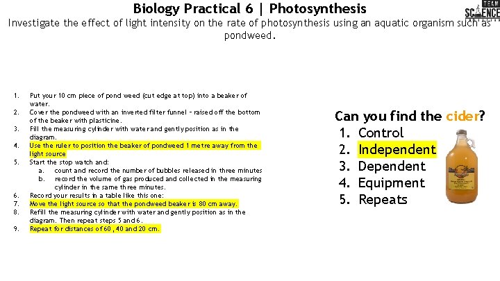 Biology Practical 6 | Photosynthesis Investigate the effect of light intensity on the rate