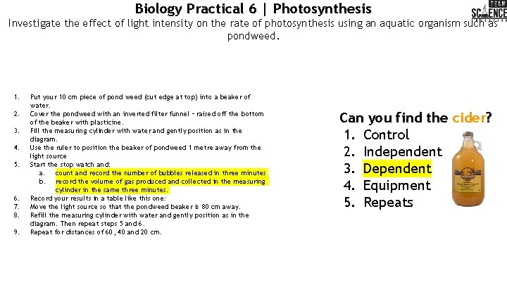 Biology Practical 6 | Photosynthesis Investigate the effect of light intensity on the rate