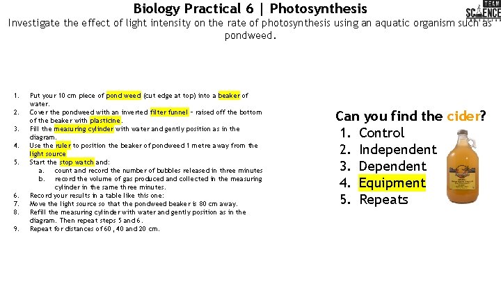 Biology Practical 6 | Photosynthesis Investigate the effect of light intensity on the rate