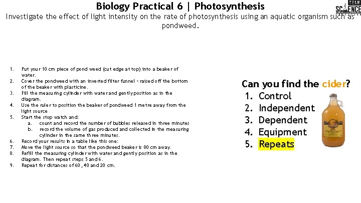 Biology Practical 6 | Photosynthesis Investigate the effect of light intensity on the rate