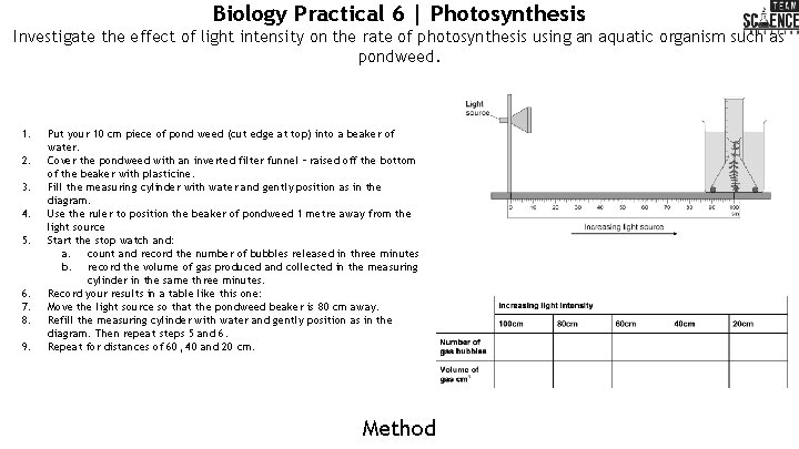 Biology Practical 6 | Photosynthesis Investigate the effect of light intensity on the rate