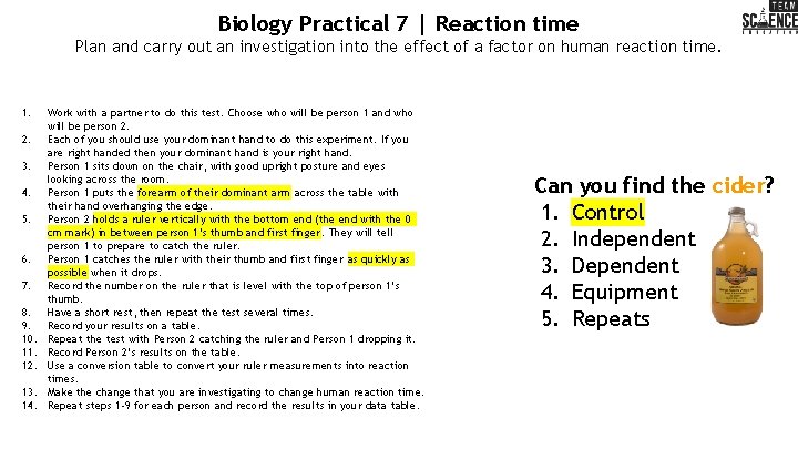 Biology Practical 7 | Reaction time Plan and carry out an investigation into the