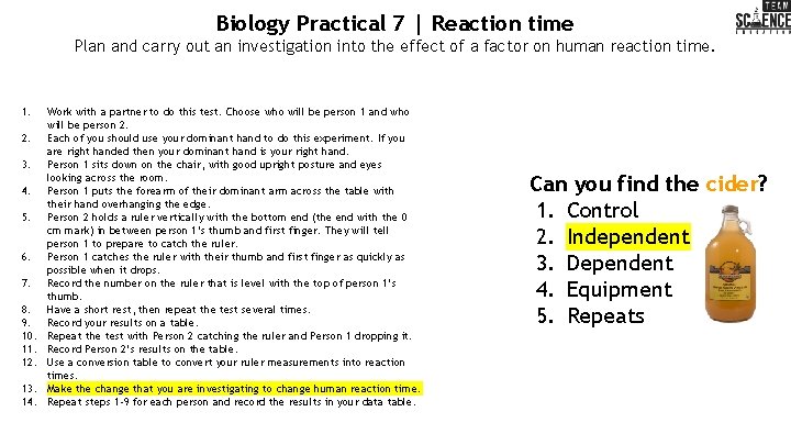 Biology Practical 7 | Reaction time Plan and carry out an investigation into the