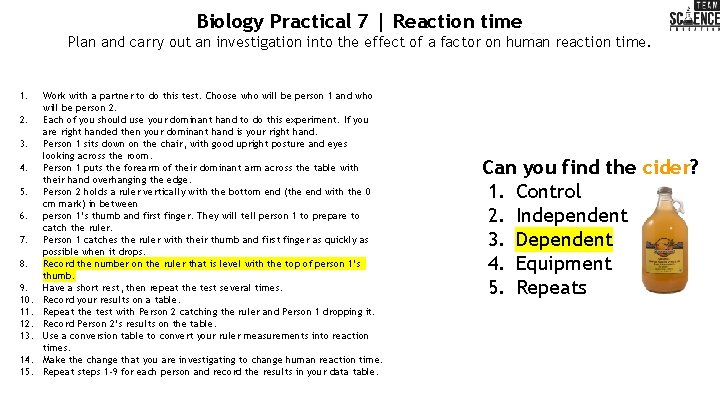 Biology Practical 7 | Reaction time Plan and carry out an investigation into the