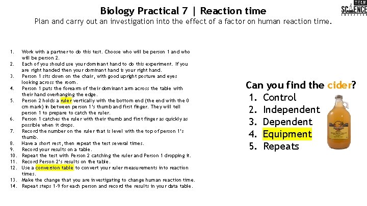 Biology Practical 7 | Reaction time Plan and carry out an investigation into the