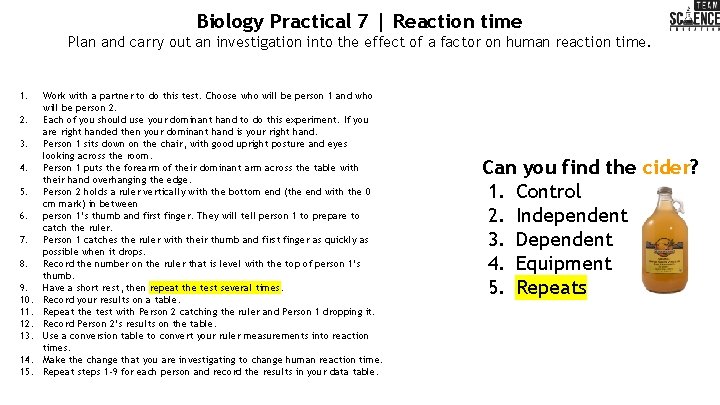 Biology Practical 7 | Reaction time Plan and carry out an investigation into the