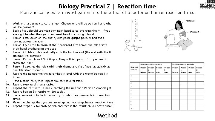 Biology Practical 7 | Reaction time Plan and carry out an investigation into the