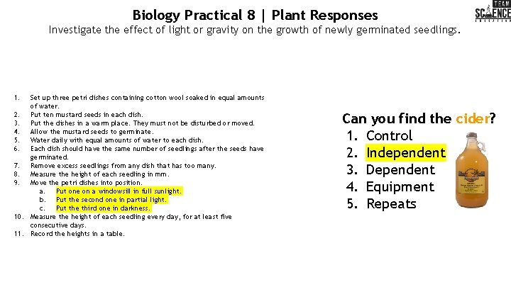 Biology Practical 8 | Plant Responses Investigate the effect of light or gravity on