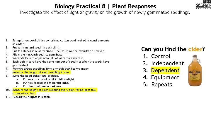 Biology Practical 8 | Plant Responses Investigate the effect of light or gravity on